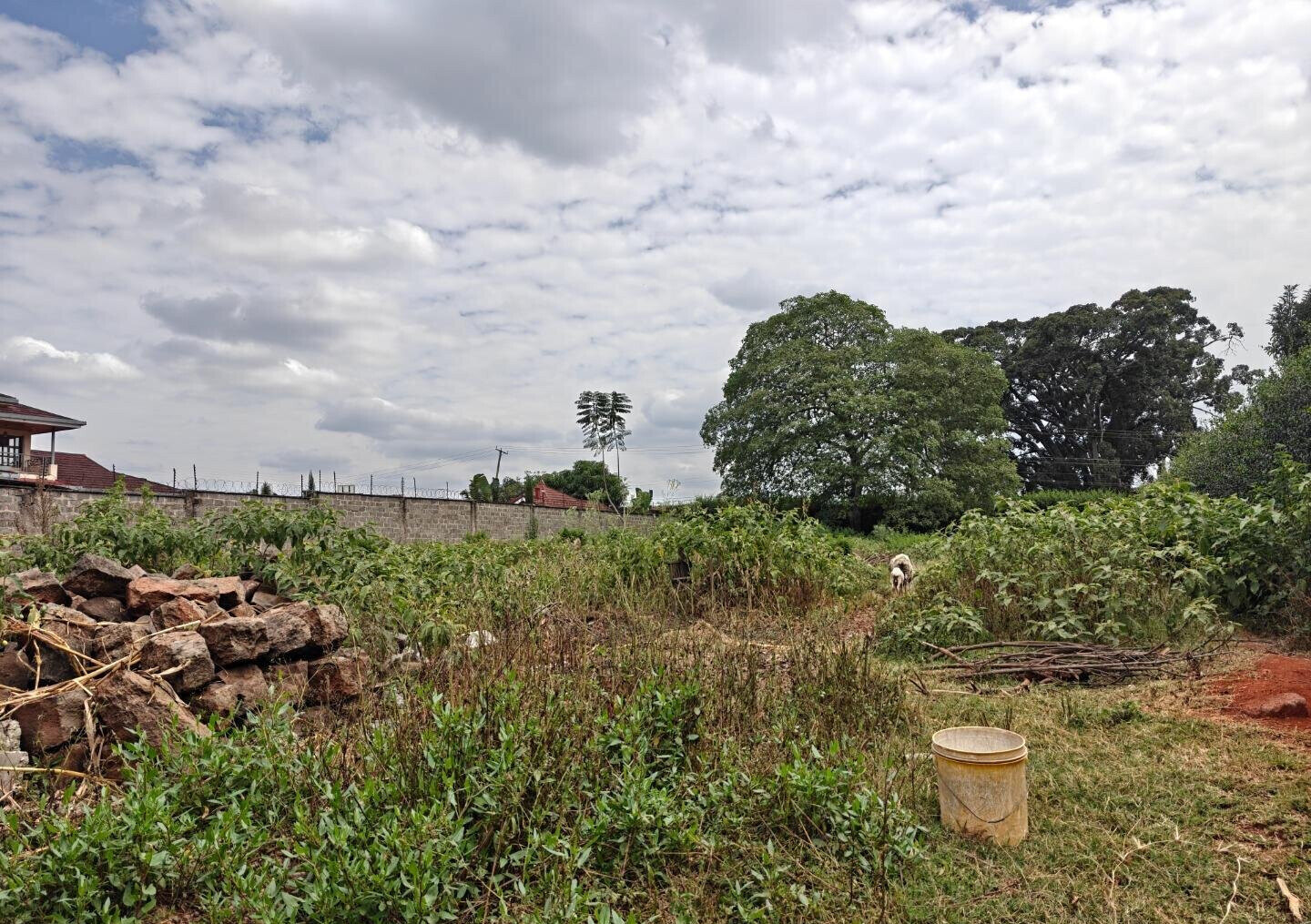 1/2 Acre Garden Plot in Muthaiga