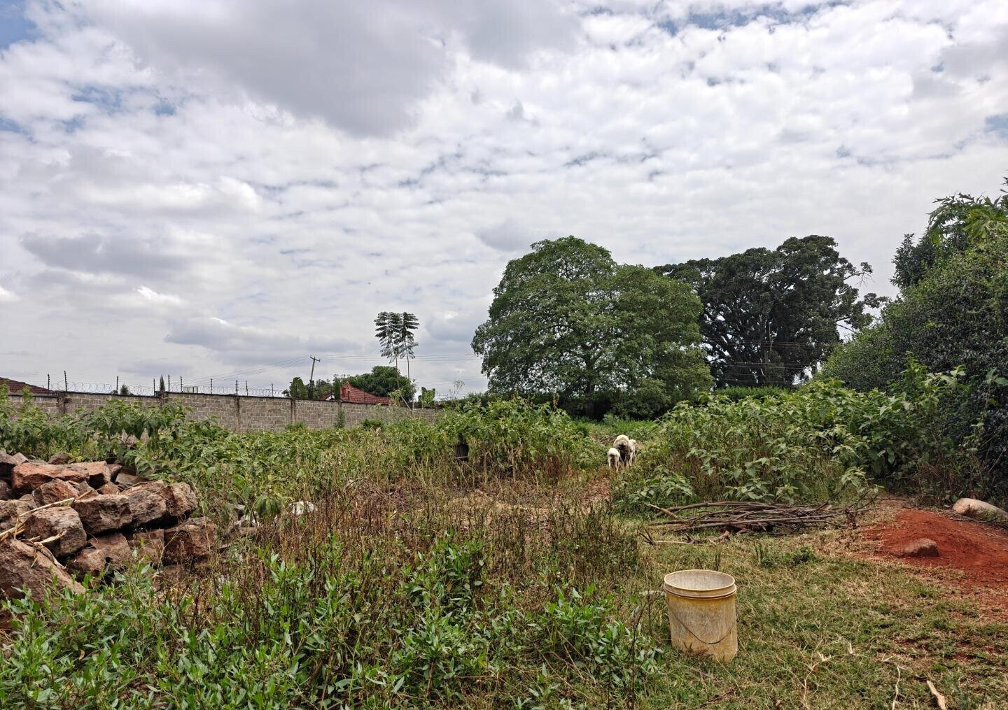 1/2 Acre Garden Plot in Muthaiga