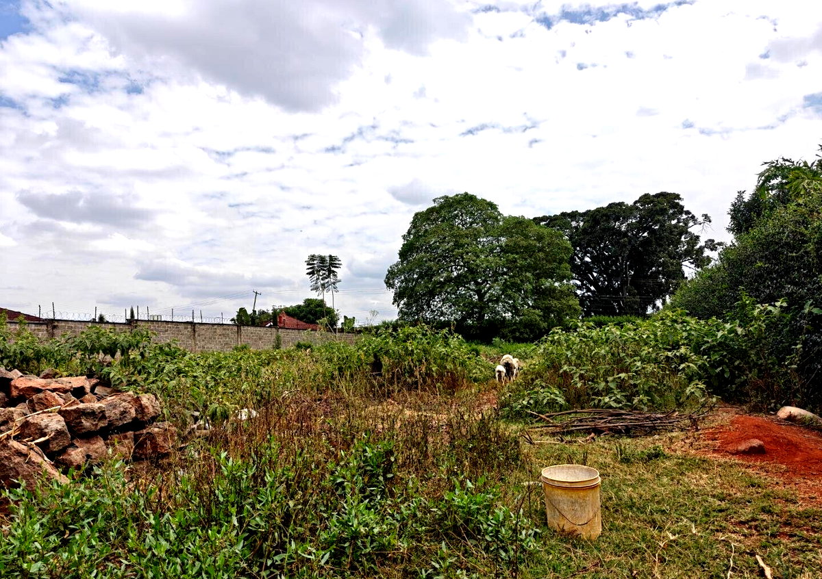 1/2 Acre Garden Plot in Muthaiga