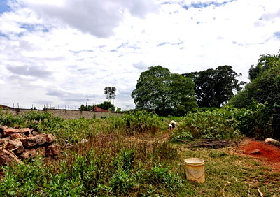 1/2 Acre Garden Plot in Muthaiga