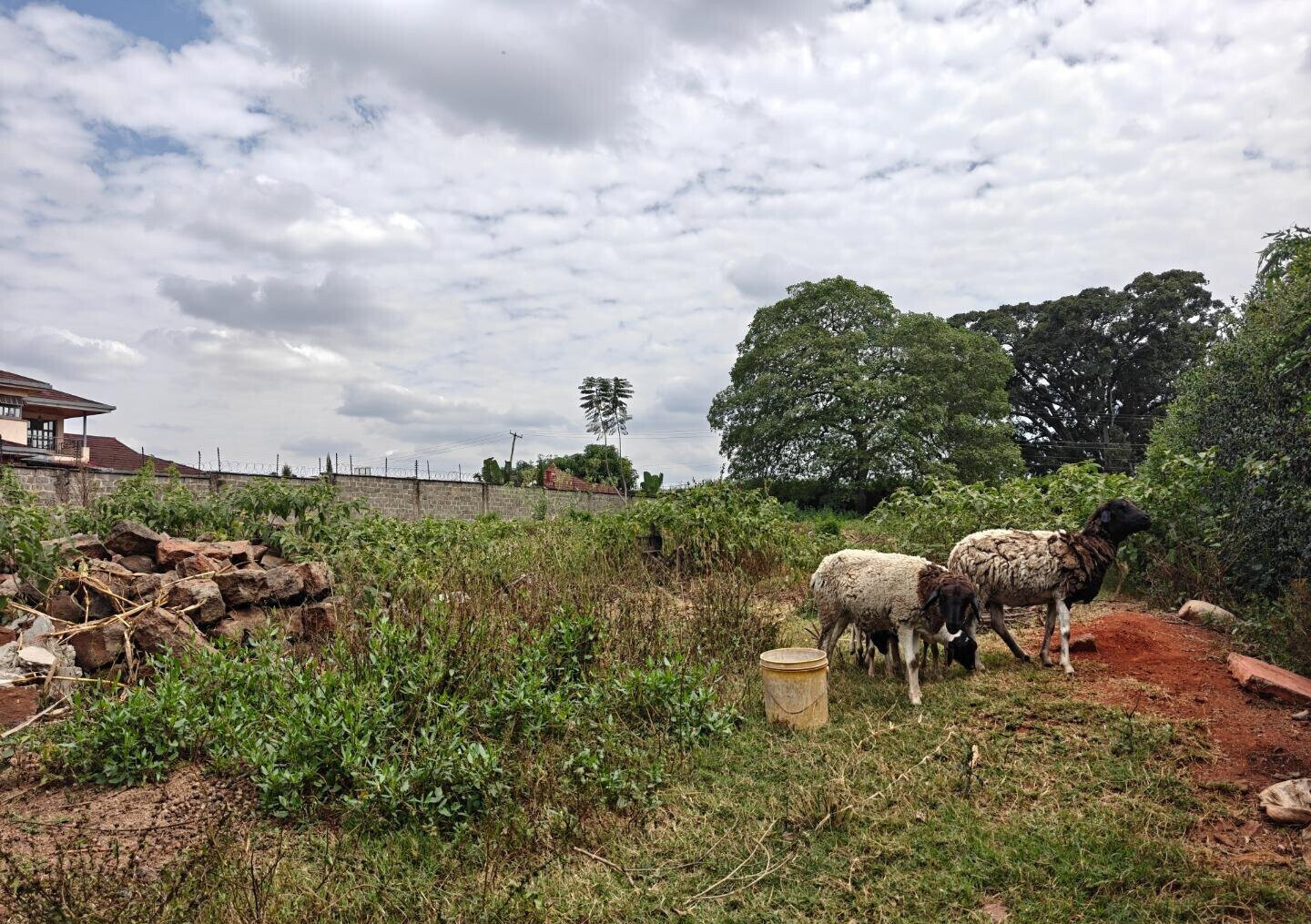 1/2 Acre Garden Plot in Muthaiga