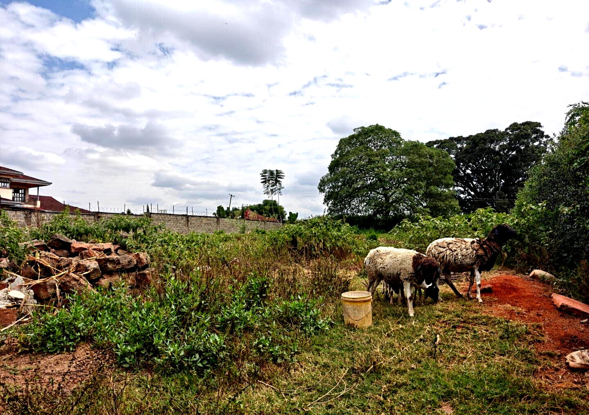 1/2 Acre Garden Plot in Muthaiga