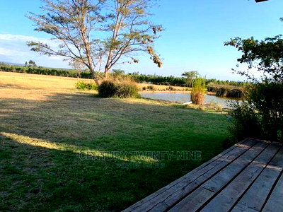Furnished 4bdrm House in Mount Kenya View, Mariashoni for Rent - Image 4