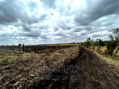 Kiserian Olooloitikosh 8.9acres - Image 5