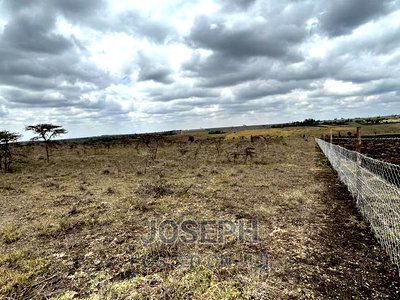 Kiserian Olooloitikosh 8.9acres - Image 15