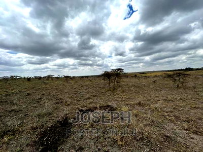 Kiserian Olooloitikosh 8.9acres - Image 2