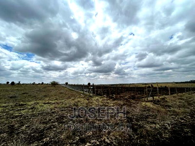 Kiserian Olooloitikosh 8.9acres - Image 4