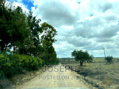 Kiserian Olooloitikosh 8.9acres - Image 3