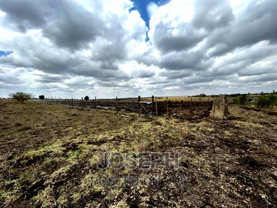 Kiserian Olooloitikosh 8.9acres - Image 8