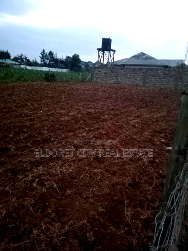1/8 Plot Ilula Ideal for Residential With Title