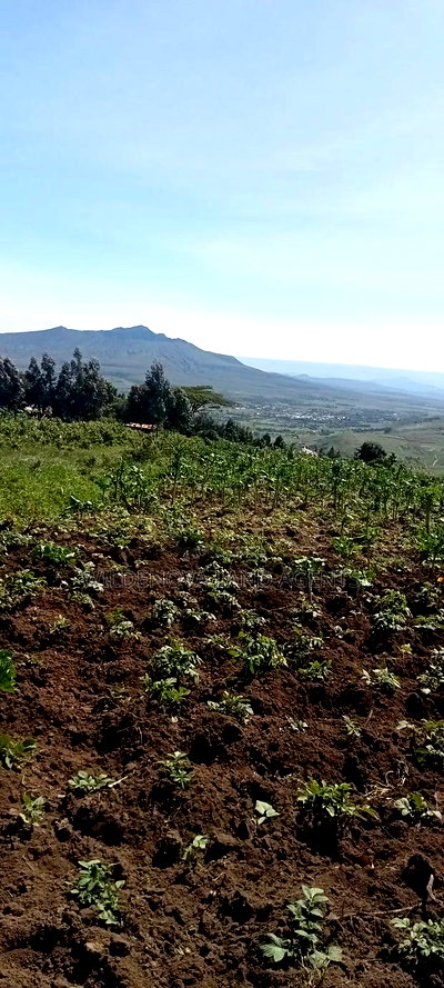 Land on Sale at Flyover Kinangop - Image 7