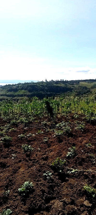 Land on Sale at Flyover Kinangop - Image 6