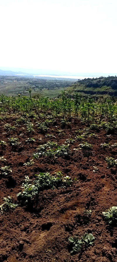 Land on Sale at Flyover Kinangop - Image 10