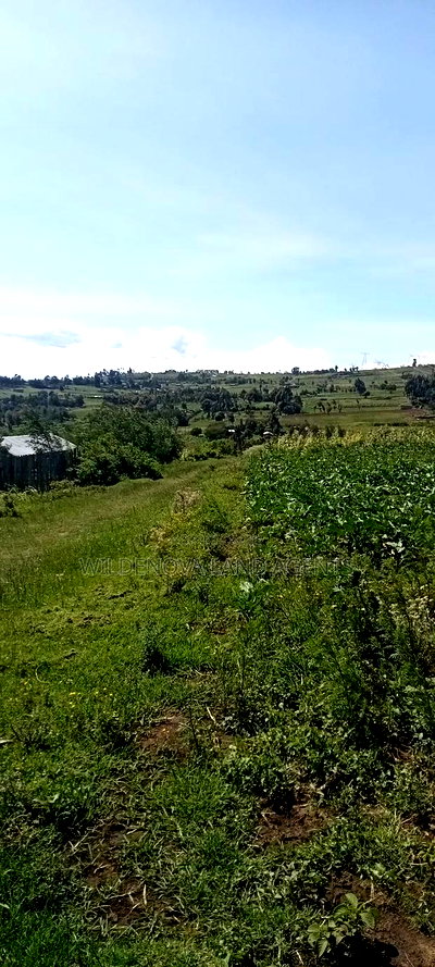 Land on Sale at Flyover Kinangop - Image 5