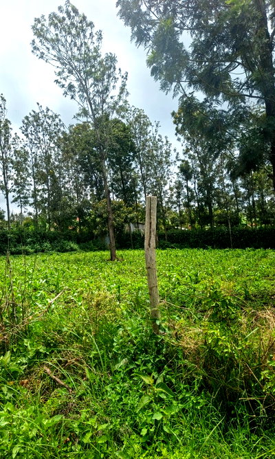 Garden Plot with Parking at KSh 6.5M