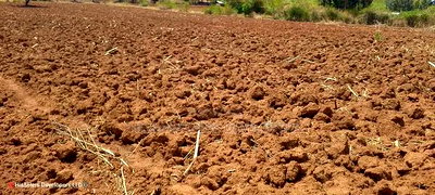 Quick Sale, 4 Acres in Subukia Near a River at 1.5m Per Acre - Image 2