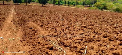 Quick Sale, 4 Acres in Subukia Near a River at 1.5m Per Acre - Image 5