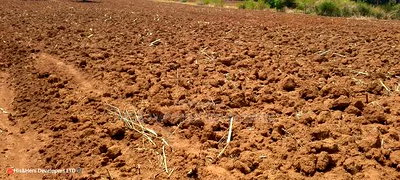 Quick Sale, 4 Acres in Subukia Near a River at 1.5m Per Acre - Image 4