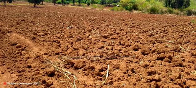 Quick Sale, 4 Acres in Subukia Near a River at 1.5m Per Acre - Image 7