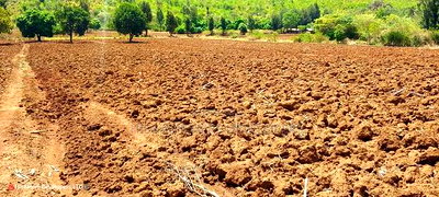 Quick Sale, 4 Acres in Subukia Near a River at 1.5m Per Acre - Image 6