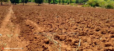 Quick Sale, 4 Acres in Subukia Near a River at 1.5m Per Acre - Image 9