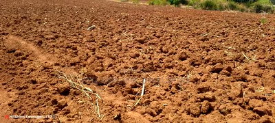 Quick Sale, 4 Acres in Subukia Near a River at 1.5m Per Acre - Image 1