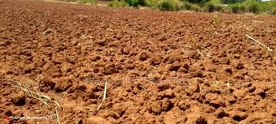 Quick Sale, 4 Acres in Subukia Near a River at 1.5m Per Acre - Image 3