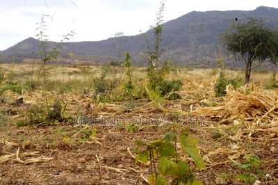 Embu County, Kiambere 17 Acres Ready Agricultural Farmland. - Image 9