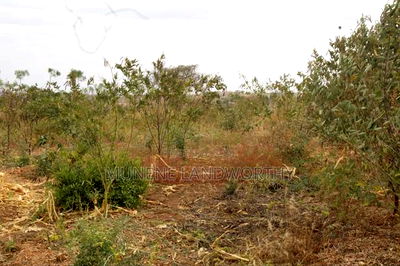 Embu County, Kiambere 17 Acres Ready Agricultural Farmland. - Image 14