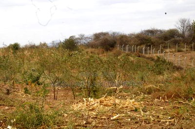 Embu County, Kiambere 17 Acres Ready Agricultural Farmland. - Image 6