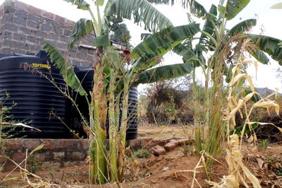 Embu County, Kiambere 17 Acres Ready Agricultural Farmland. - Image 4