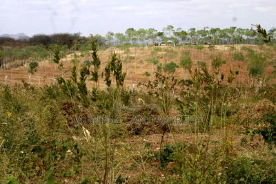 Embu County, Kiambere 17 Acres Ready Agricultural Farmland. - Image 2