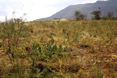 Embu County, Kiambere 17 Acres Ready Agricultural Farmland. - Image 15