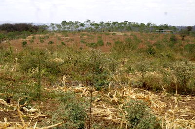 Embu County, Kiambere 17 Acres Ready Agricultural Farmland. - Image 10