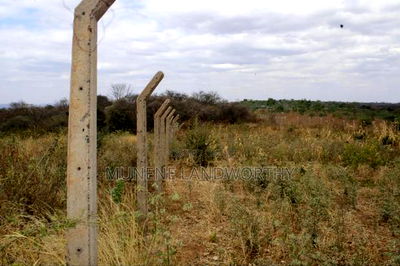 Embu County, Kiambere 17 Acres Ready Agricultural Farmland. - Image 13