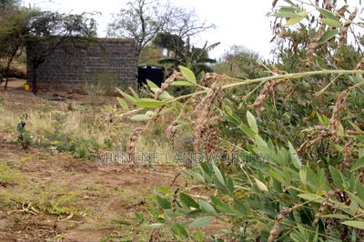 Embu County, Kiambere 17 Acres Ready Agricultural Farmland. - Image 5