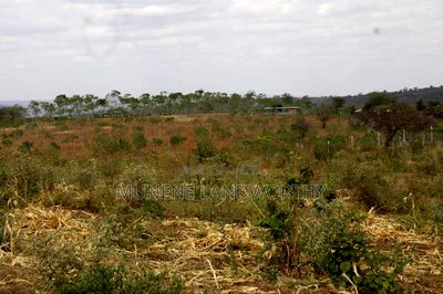 Embu County, Kiambere 17 Acres Ready Agricultural Farmland. - Image 11
