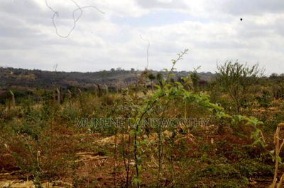 Embu County, Kiambere 17 Acres Ready Agricultural Farmland. - Image 18