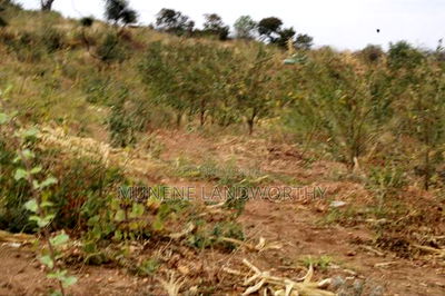 Embu County, Kiambere 17 Acres Ready Agricultural Farmland. - Image 17