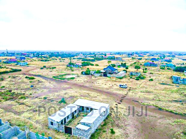 Buy and Build Immediately, Murera