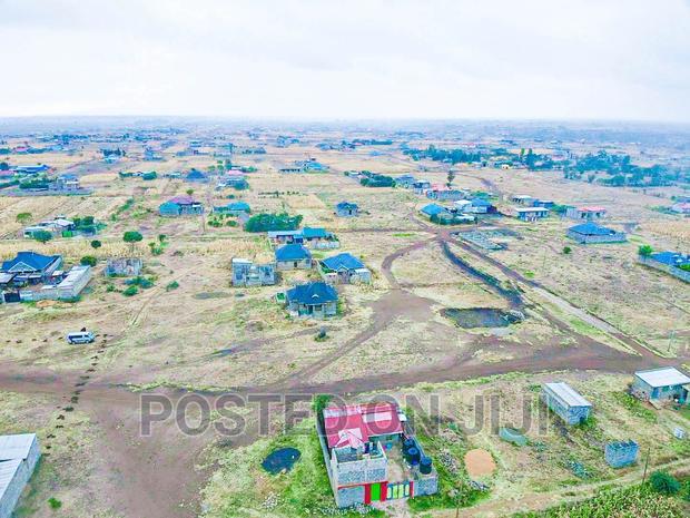 Buy and Build Immediately, Murera