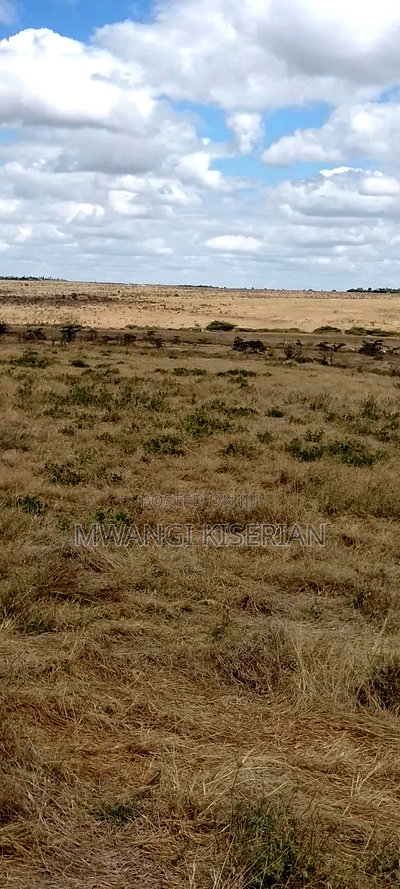 Lands for Sale in Kiserian Farmers, - Image 20