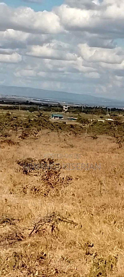 Lands for Sale in Kiserian Farmers, - Image 10