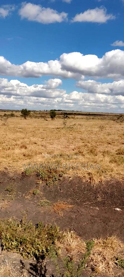 Lands for Sale in Kiserian Farmers, - Image 16