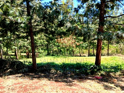 Commercial 1/2acre Plot for Sale in Kikuyu,Kidfarmaco - Image 5
