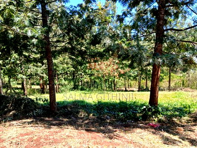 Commercial 1/2acre Plot for Sale in Kikuyu,Kidfarmaco - Image 7