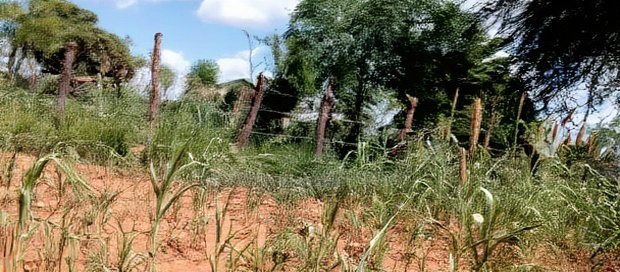 Embu County, Kiambere 10 Agricultural Farmland.
