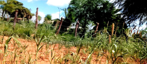 Embu County, Kiambere 10 Agricultural Farmland.