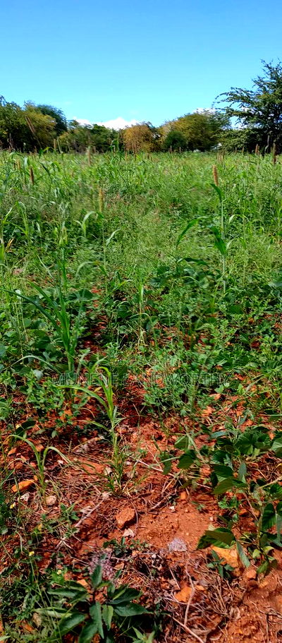 Embu County, Kiambere 10 Agricultural Farmland. - Image 14