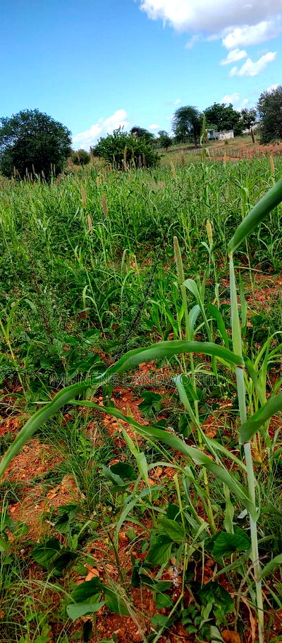 Embu County, Kiambere 10 Agricultural Farmland. - Image 7